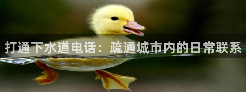 富邦娱乐国际会所杭州