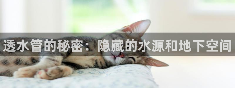 富邦现场娱乐
