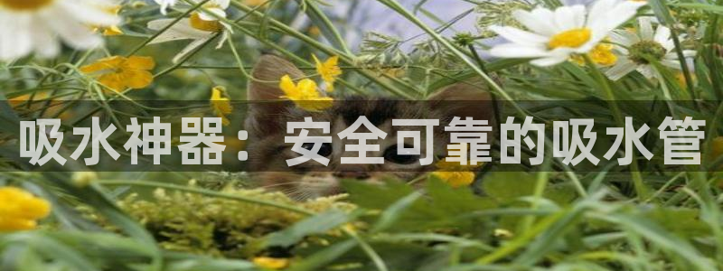富邦广场翡翠娱乐会所