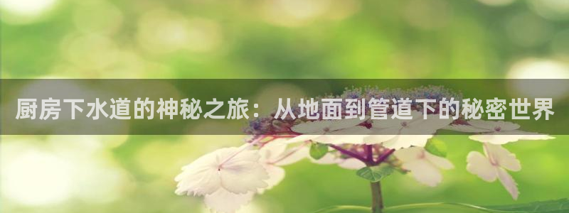 富邦娱乐官网上全狐网