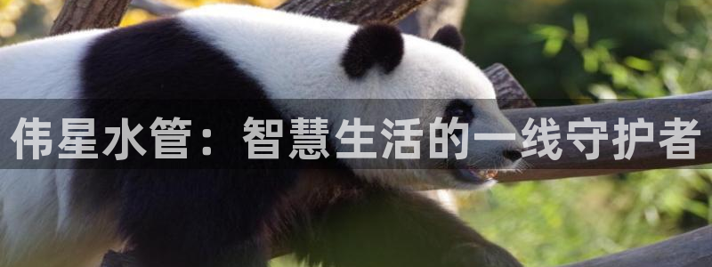 富邦广场娱乐会所电话