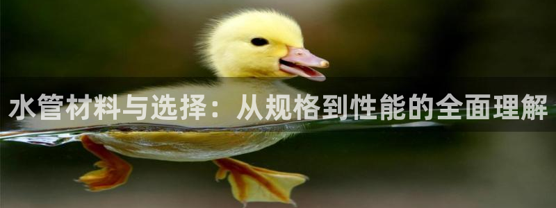 富邦广场儿童娱乐场所
