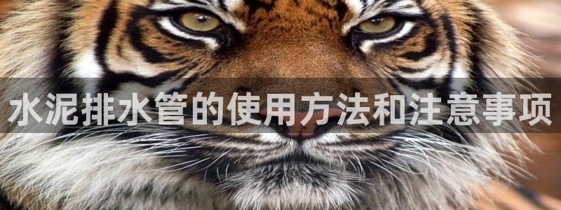 富邦娱乐活动