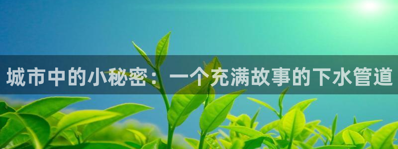 富邦娱乐项目
