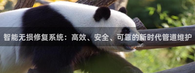 富邦大酒店娱乐项目