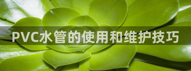 澳门富邦线上娱乐平台