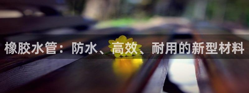 富邦娱乐活动