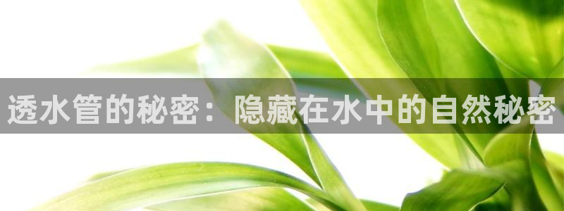 富邦娱乐会所在几楼上班
