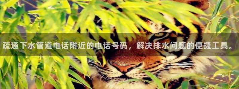 富邦电子娱乐