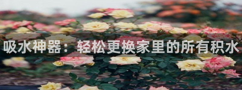富邦娱乐 皇恩靠谱