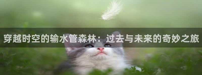 富邦娱乐官网