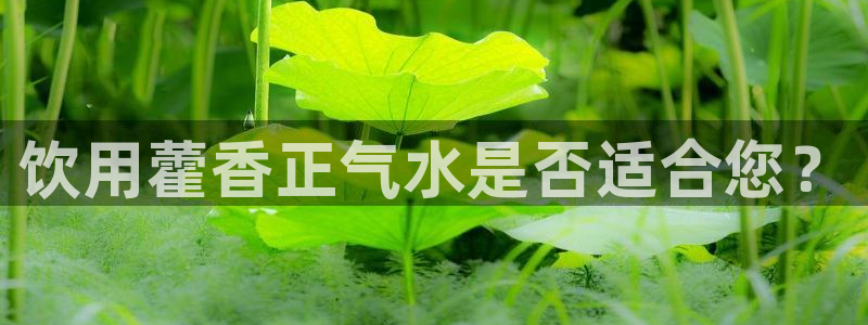 富邦商务娱乐会所怎么样
