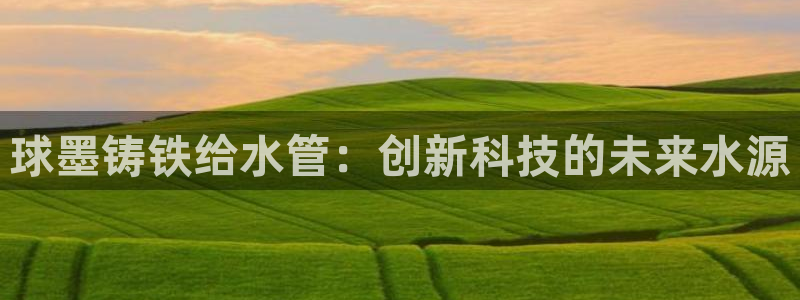 富邦娱乐 果敢锦海