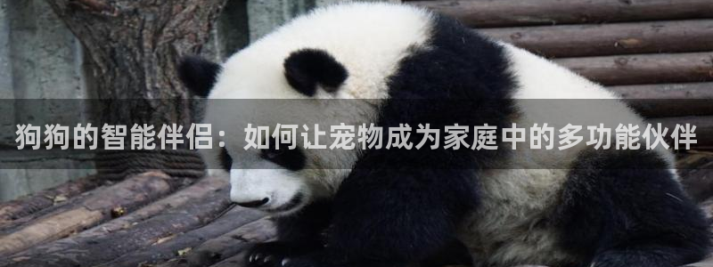 富邦佳丽娱乐厅