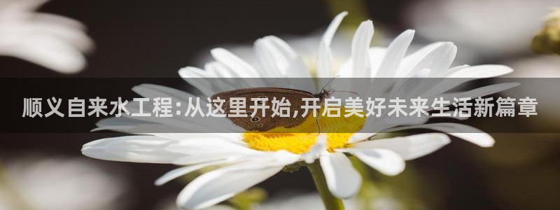 临平富邦星座娱乐场所