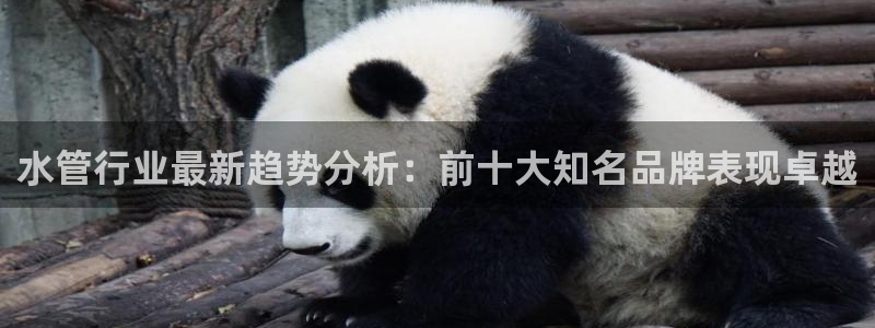 富邦电子娱乐网址