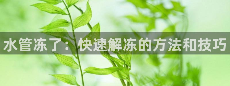 富邦娱乐彩票最新地址