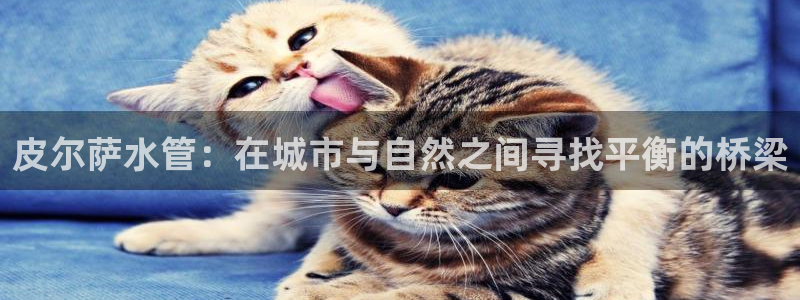 富邦大酒店娱乐项目